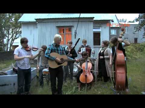 hjaltalín selur