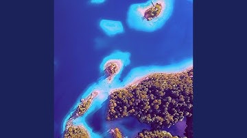 Simplistic Ambience for Irie Vibes