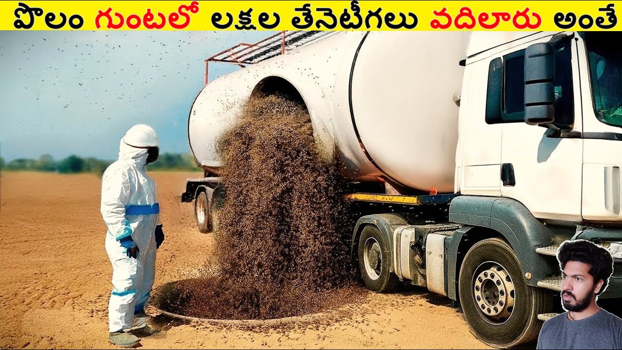 పొలం గుంటలో లక్షల తేనెటీగలు వదిలారు అంతే || Amazing Facts Ever Listen Part 249 || ALK Facts