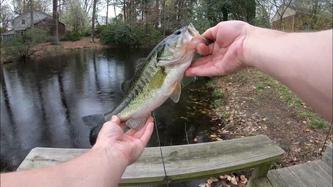 Just bought this 6' UL Lew's Mr. Trout spinning combo. What is the best  brand of 3-4lb line to use with it? : r/Fishing