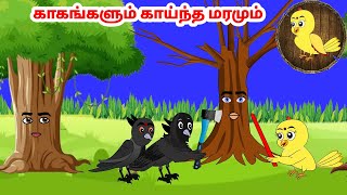 காலு கோரி கார்ட்டூன் | Feel good stories in Tamil | Tamil moral stories | Beauty Birds stories Tamil