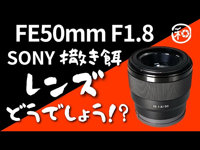 ソニー FE 50mm F1.8 レビュー｜お手頃価格の純正単焦点標準レンズ