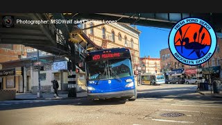 Spring Creek Stanley Av bound 2022 New Flyer XD40 #7879 B20 bus at Fairview Av Forest Av