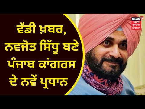 Navjot Sidhu : ਪੰਜਾਬ ਕਾਂਗਰਸ ਦੇ ਪ੍ਰਧਾਨ ਬਣੇ ਨਵਜੋਤ ਸਿੱਧੂ | Breaking News | News18 Punjab