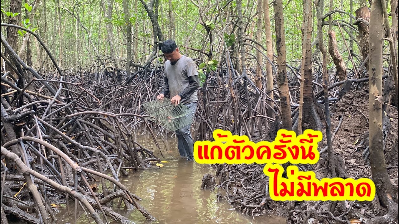 EP.49 นั่งเรือเก็บลอบ แก้ตัวจากครั้งก่อนที่ไม่หมานที่สุด มาดูกันครับ แก้ตัวสำเร็จไหม.??@FOLLOW ME