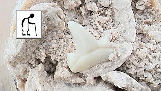Timelapse Poundland Shark Bite tooth in an egg placed in vinegar