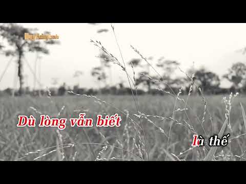 Tìm Lại Giấc Mơ Karaoke Tone Nữ