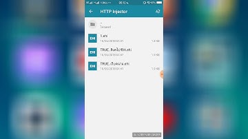 เน็ตฟรีVPN TRUE SG แรงๆ (http injector)