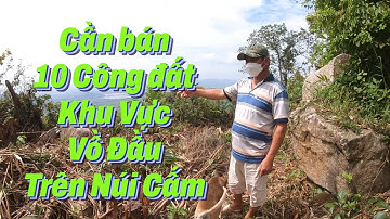 Cần bán - 10 Công đất Vị trí rất đẹp - khu vực - Trên Vồ Đầu - Núi Cấm