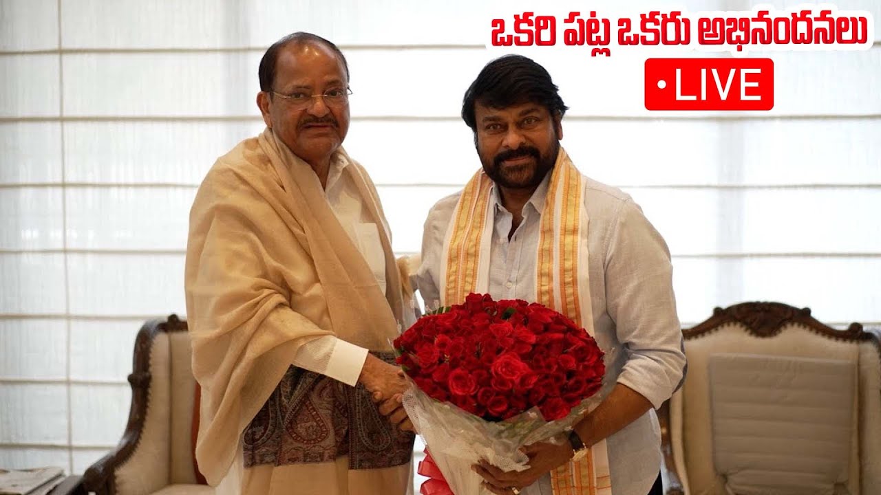 марьяна ро мегазвезда. мег звезда. образ мега звезда. супер мега звезда. мег звезда.