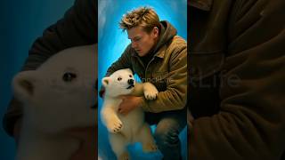 What Happens If You Help A Lost Polar Bear Cub?
