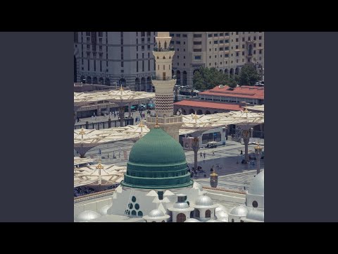 محمد حبك يجمعنا