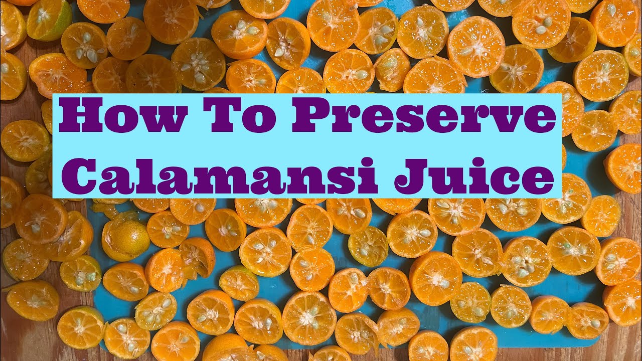 How To Preserve Calamansi Juice YouTube