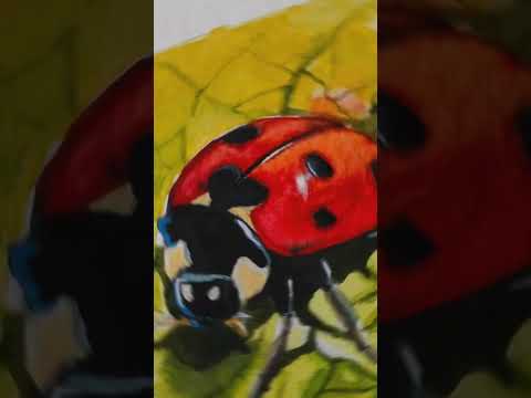 Lady Bug watercolor painting#Tota Mama