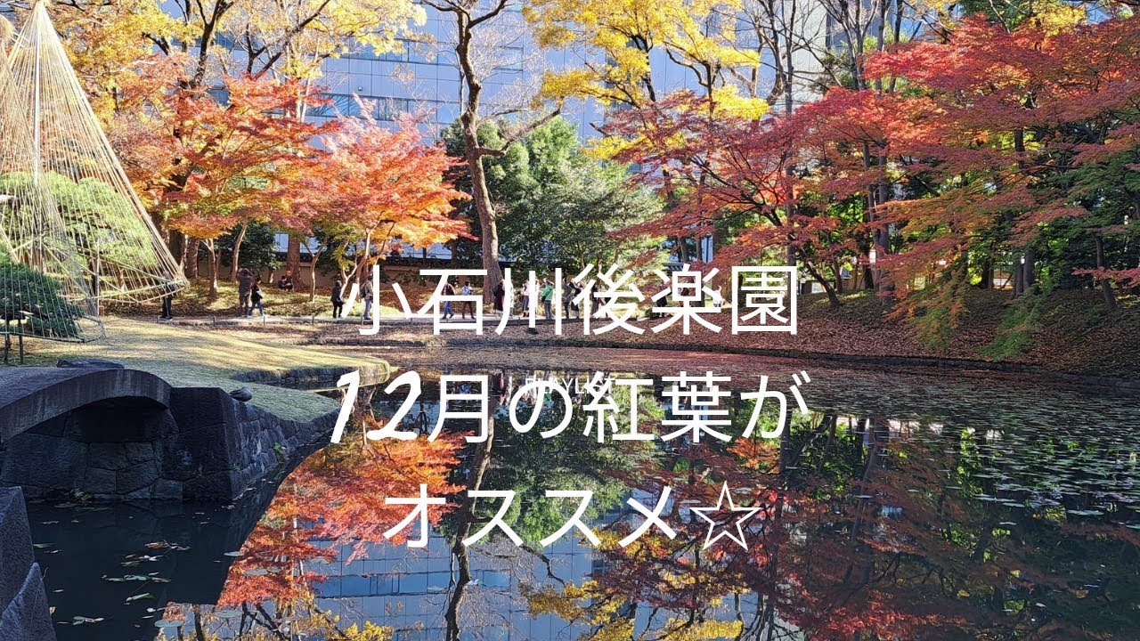 #小石川後楽園は、12月の紅葉がオススメ❗️