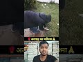 कुदरत का करिश्मा 😍🔥#muhammadﷺ #allah #duet ❤🤔🌼👍💔#youtubeshorts #trending 🇯🇴🌙🕋🤲🏾💔👍🥀🤔🌼#islamicpost