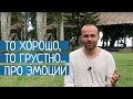 Выпуск №62. То ХОРОШО, то ГРУСТНО... Про эмоции и эмоциональные качели!