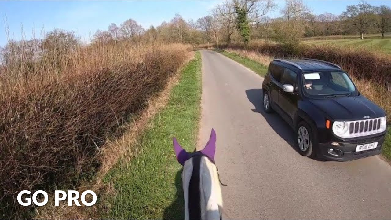 we were followed..?!🤔 | GOPRO | equinemollie