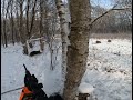 Battue sous la neige: aux Grands Gibiers ( Sangliers, chevreuils, Cerf et Renard)