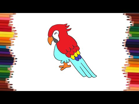 como dibujar una guacamaya | Dibujos faciles