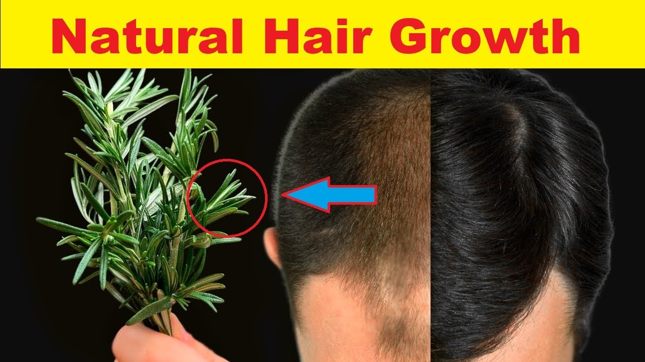 Rosemary Oil! Your Natural Hair Growth Stimulator YouTube