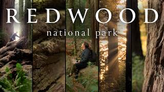 Lost in the World's Tallest Forest | Redwood National Park Adventure