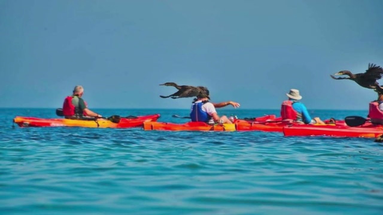 images you need to look at twice to understand