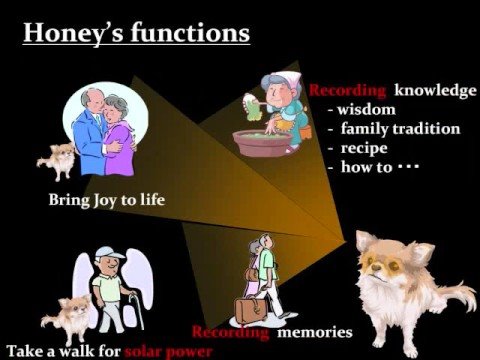 Google Project 10^100 -Honey Reminder-