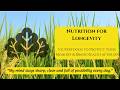 Nutrition for Longevity | 5 Superfoods to Protect Your Memory and Brain Health After 60