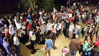 Karaisalı Dügünleri Tahsin Zeytun