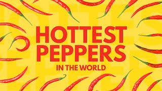 20 HOTTEST PEPPERS in the World by Facts Net 2,279 views 1 year ago 14 minutes, 16 seconds