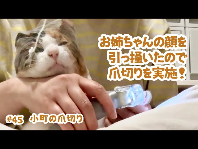 45 Komachi's nail clippers - YouTube