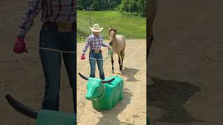 AQHA Ranching Heritage Young Horse Development Program (2025) - Wildcard Assignment 