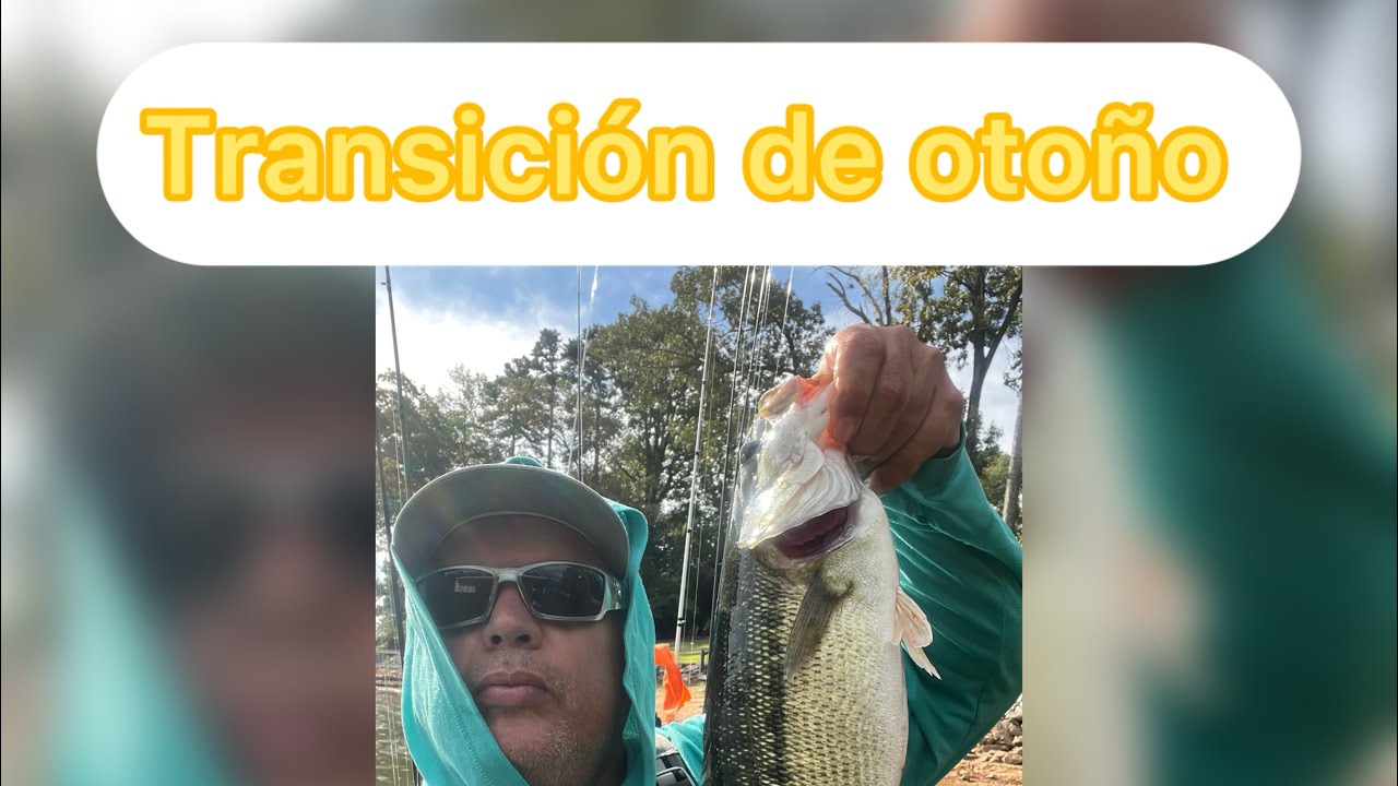Pesca en kayak en Lanier en la transición de otoño #kayakfishing #bassfishing