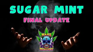 The Final Sugar Mint Update + What's Next on Deck! The final outcome and the next grow revealed.