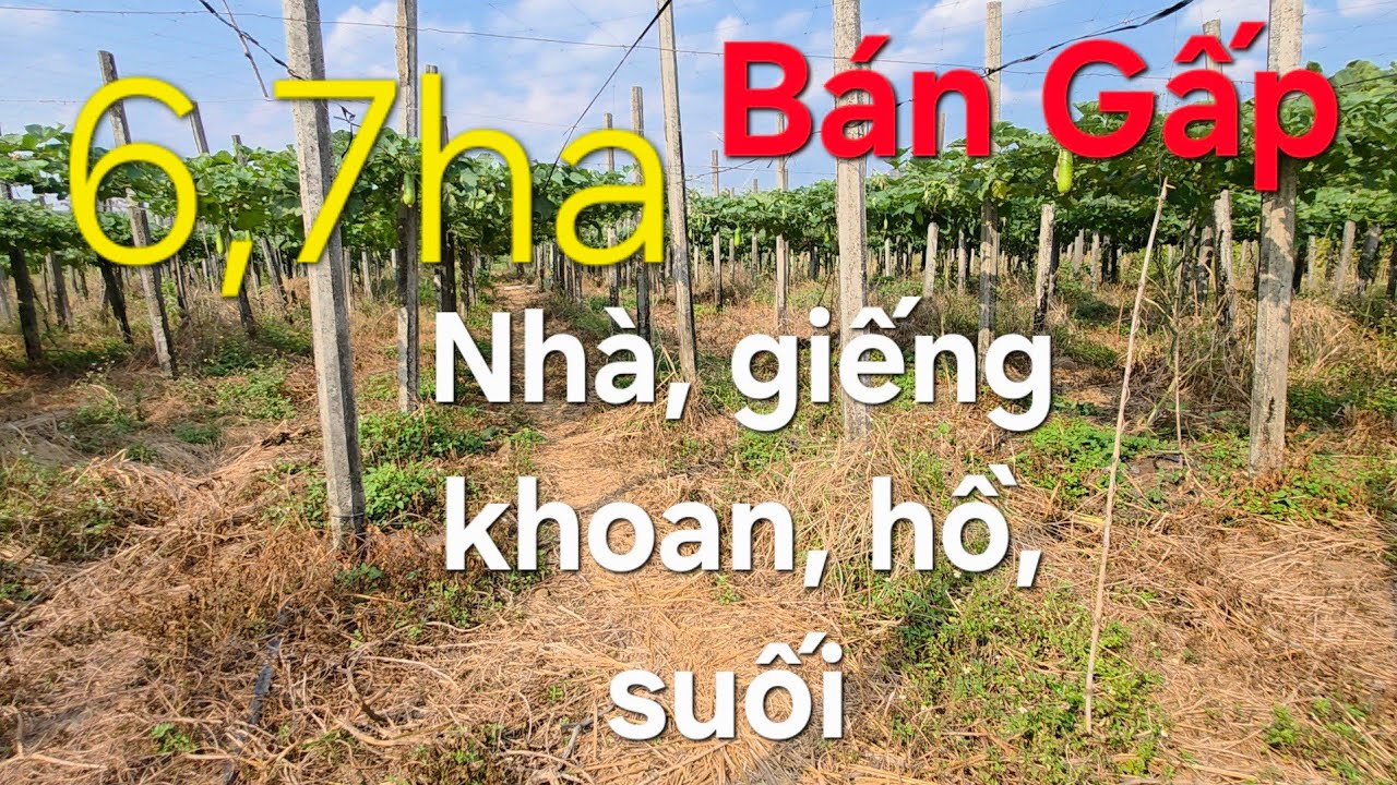 6,7ha giá rẻ ace quan tâm lh 08 22 72 76 79 