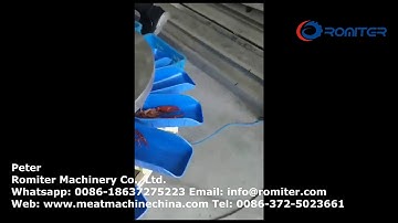 Automatic Fresh Shrimp Weight Sorting Grading Machine