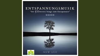 Hintergrundmusik Akademie
