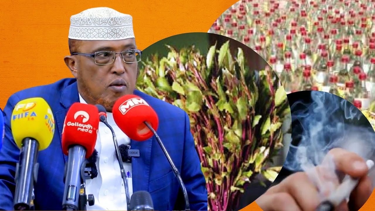 Dhibaatooyinka Uu Maandooriyu Ku hayo Dadkeena Sheekh Dirir