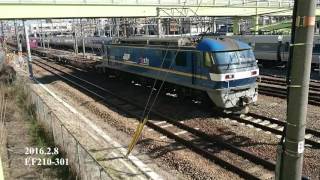 EF210-301号機【押太郎】 東海道本線