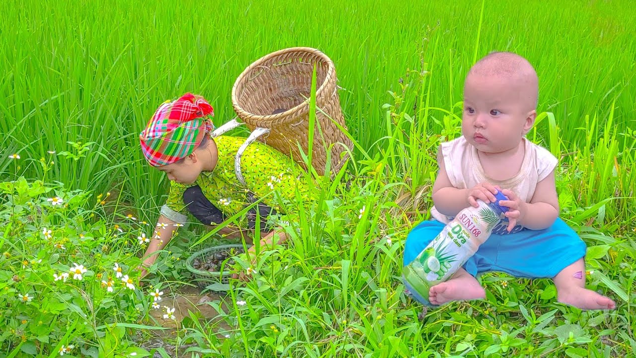 Single mother picks snails to raise her children - single mom emotional ...