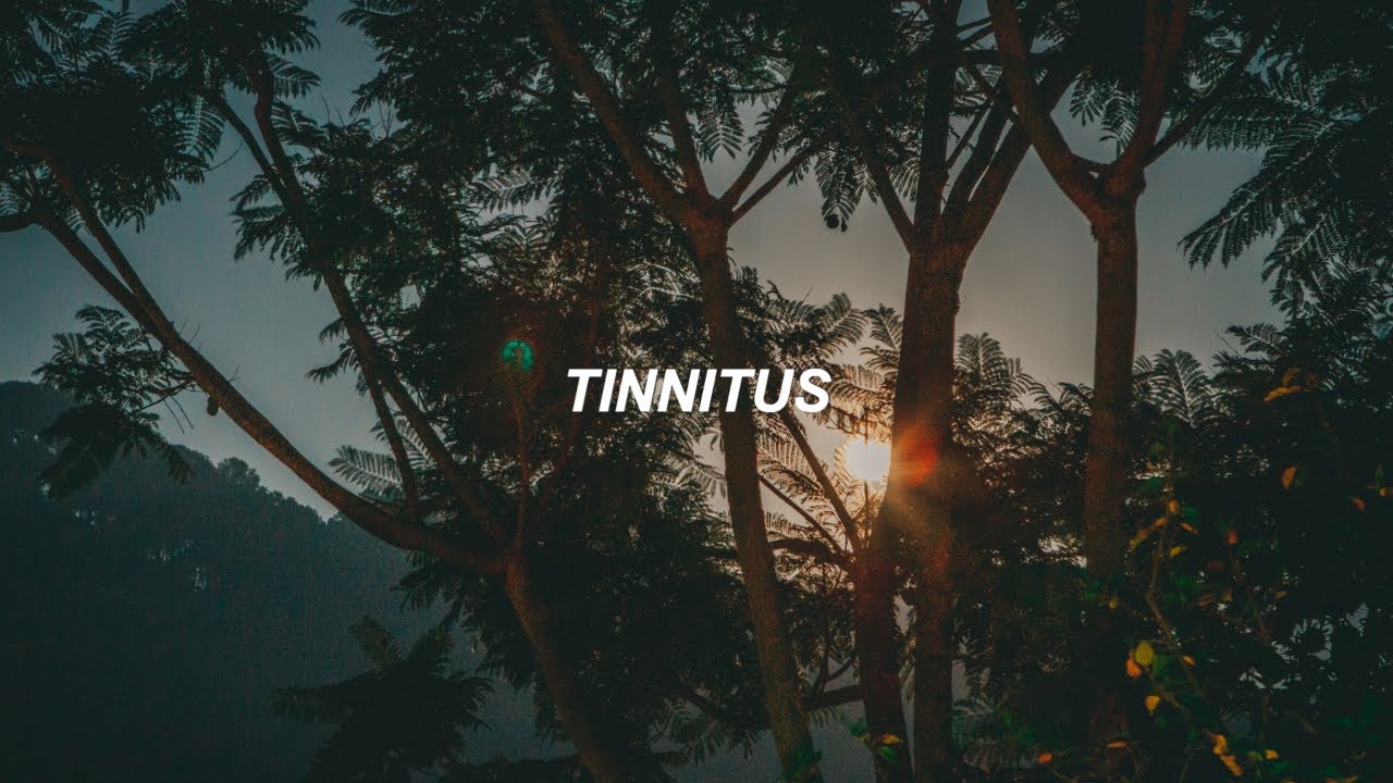 tinnitus | txt (투모로우바이투게더) eng lyrics