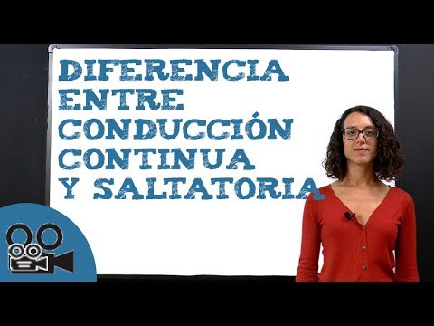 Vídeo: Diferencia Entre Conducción Saltatoria Y Continua