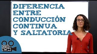 Impulso de de velocidad un la nervioso es independiente