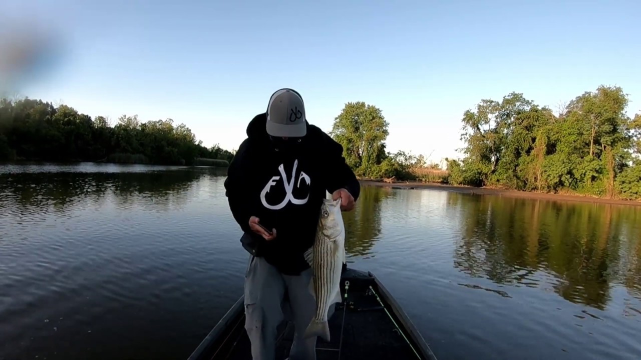 maryland bass fishing episode 9 - YouTube