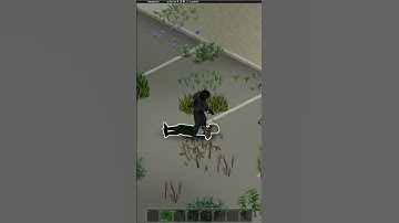 Using Pistols with 0 Aim in Project Zomboid 2| Combat Tutorial #projectzomboid #build41