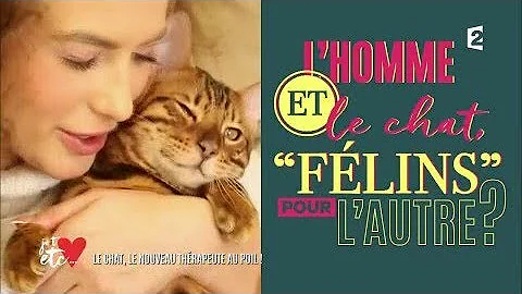 Comment Savoir Si Un Chaton Est En Mauvaise Sante