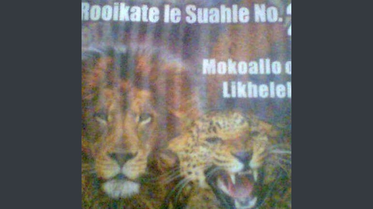 Suahle leshodu