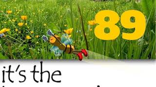 Proven Bee Stings Techniques That Work - KM089