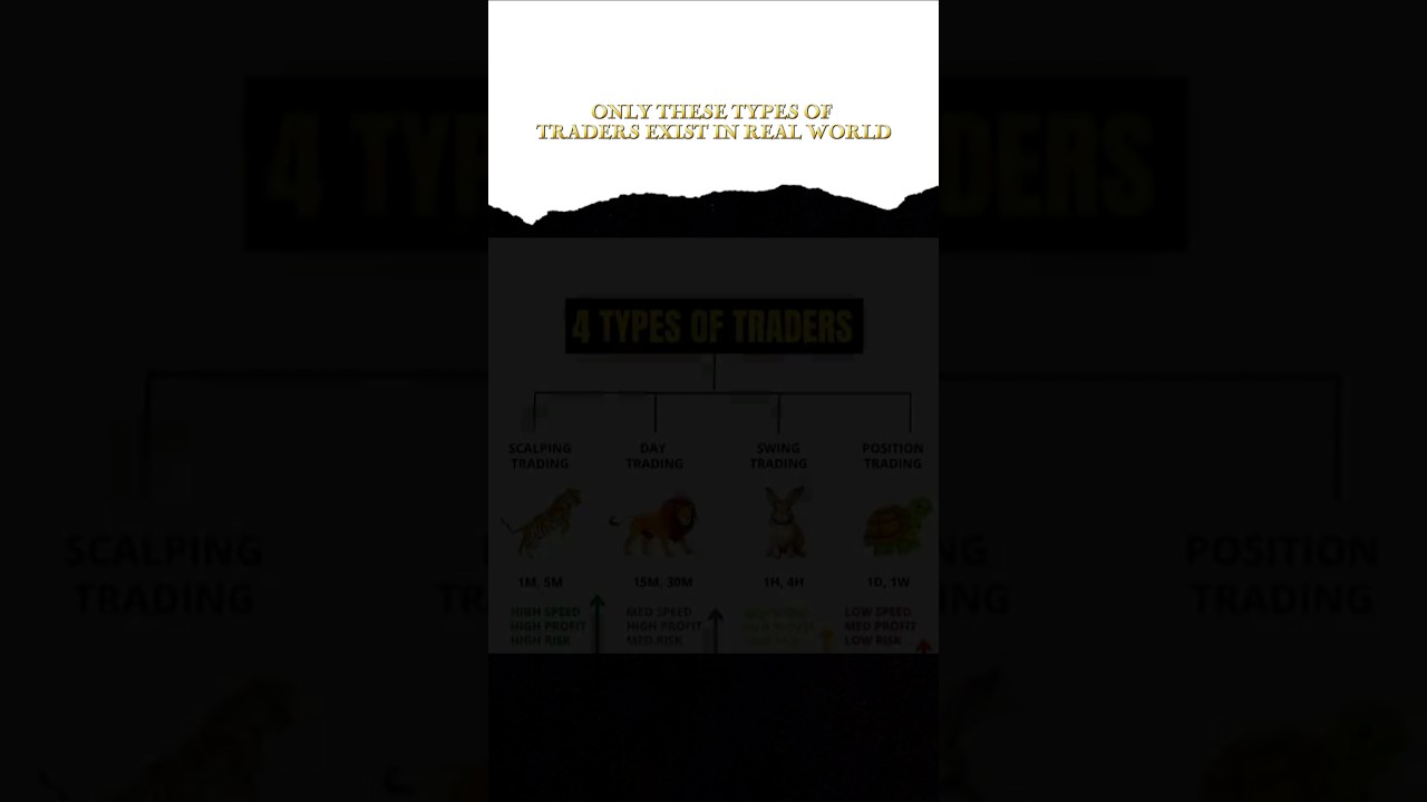 4 Types of Trader 